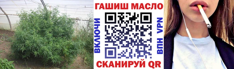 omg как войти  сколько стоит  Кирово-Чепецк  ТГК THC oil 