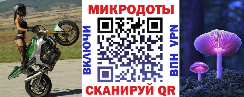 Галлюциногенные грибы Psilocybe  закладка  ссылка на мегу зеркало  Кирово-Чепецк 